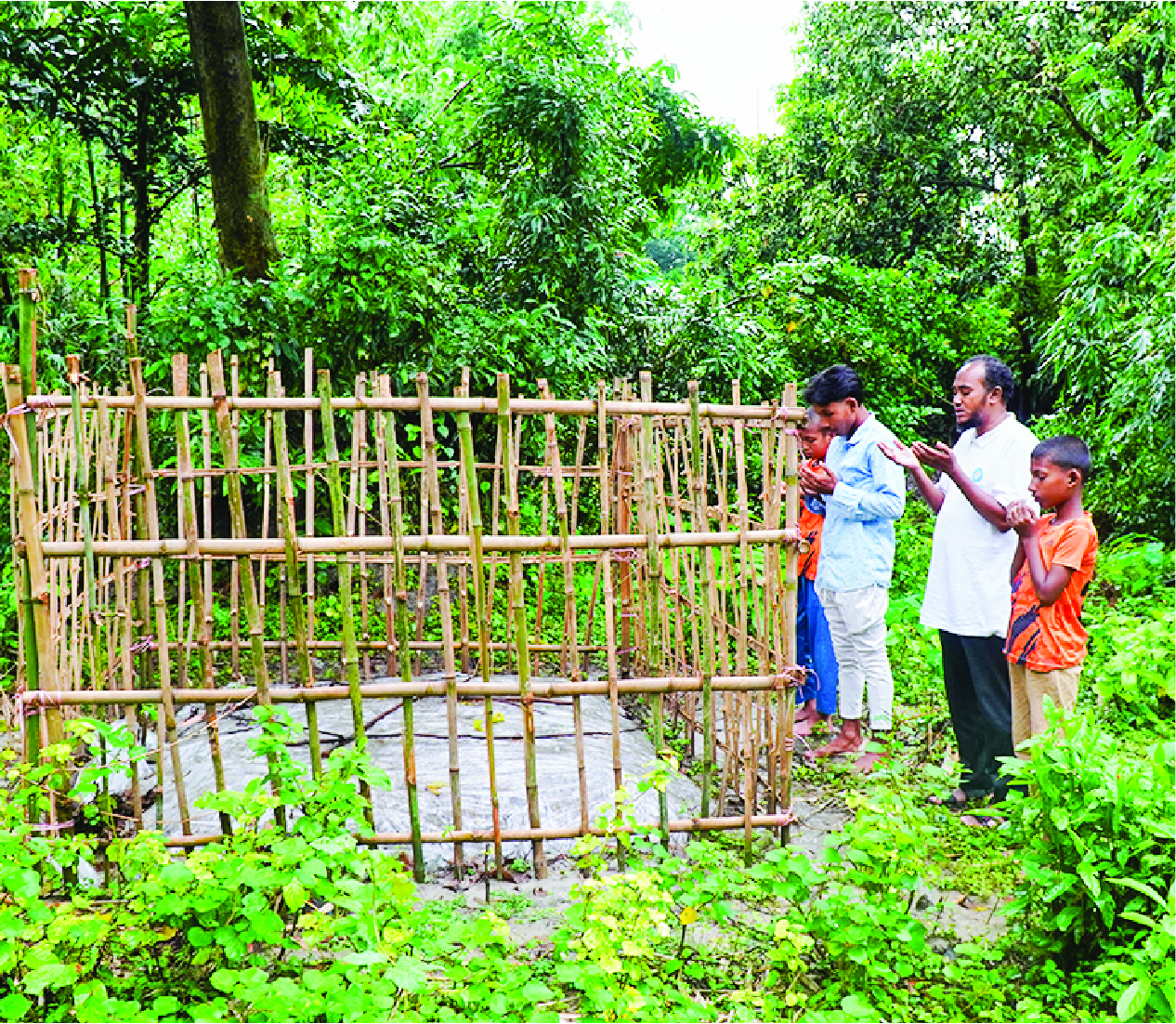 Image of শেখ নয়ন হোসেন